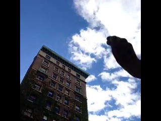 clearing away the clouds of new york (best vine videos)