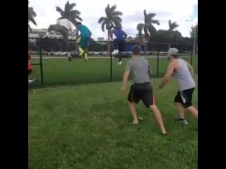 stereotypical fence jumping  (vine)